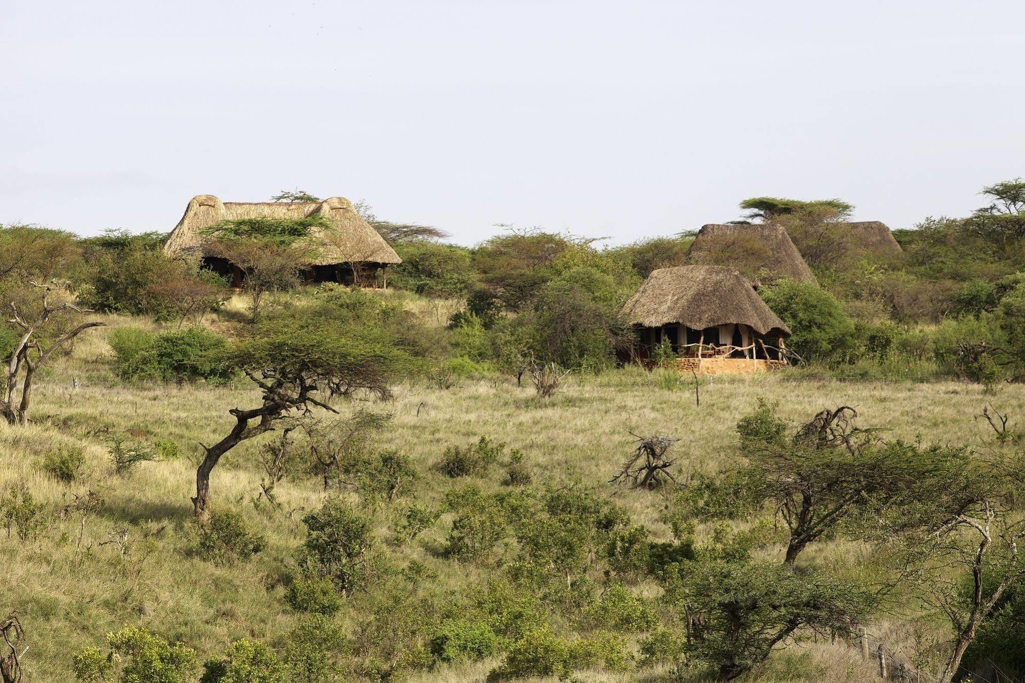 Hotel Elewana Lewa Safari Camp Timau Exterior foto