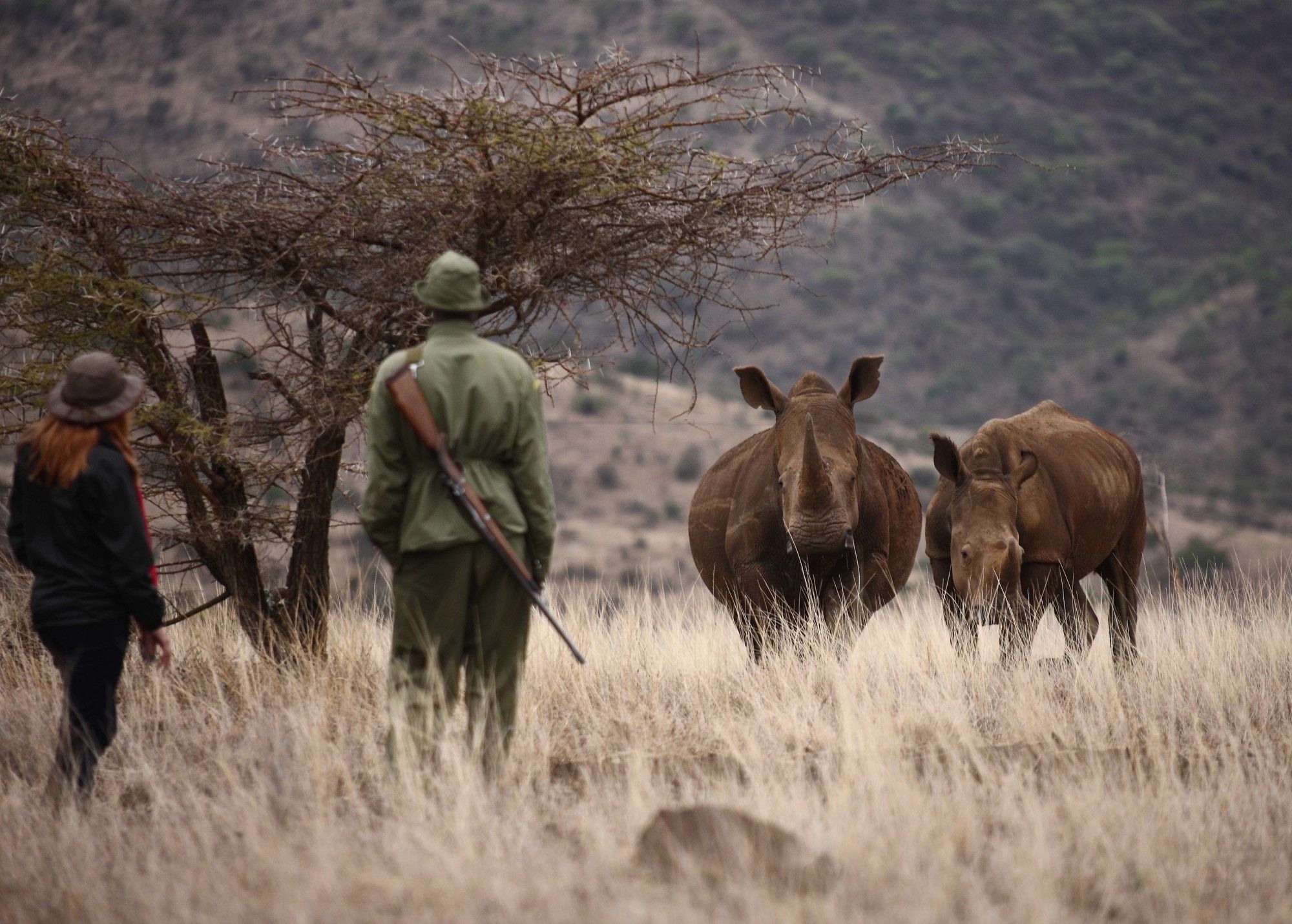 Hotel Elewana Lewa Safari Camp Timau Exterior foto